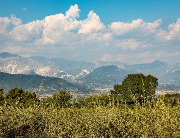 Villa L' Acciuga Blu Montemarcello Esterno foto