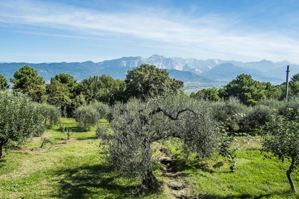Villa L' Acciuga Blu Montemarcello Esterno foto